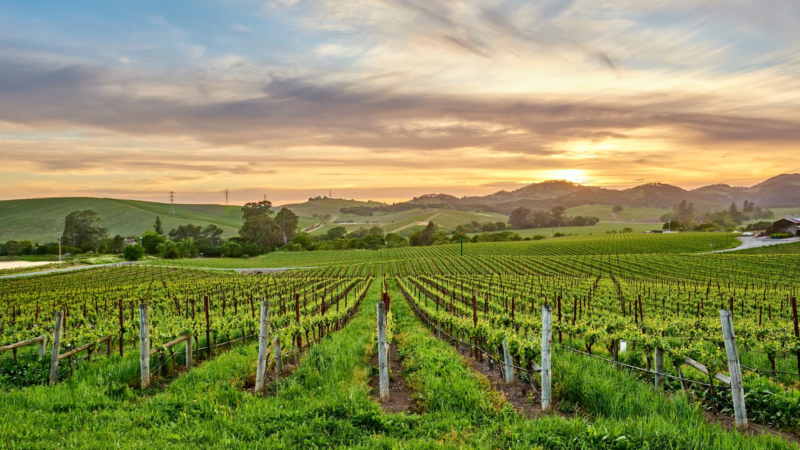 Livermore, CA homes